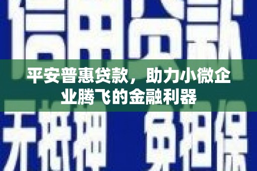 坪林平安普惠贷款，助力小微企业腾飞的金融利器