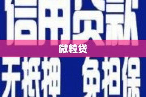 坪林微粒贷
