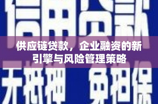 坪林供应链贷款，企业融资的新引擎与风险管理策略