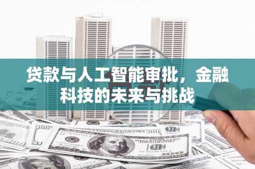 坪林贷款与人工智能审批，金融科技的未来与挑战