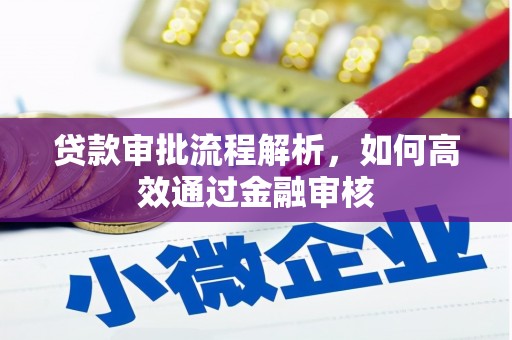坪林贷款审批流程解析，如何高效通过金融审核