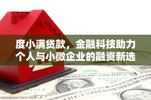 坪林度小满贷款，金融科技助力个人与小微企业的融资新选择