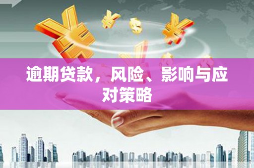 坪林逾期贷款，风险、影响与应对策略