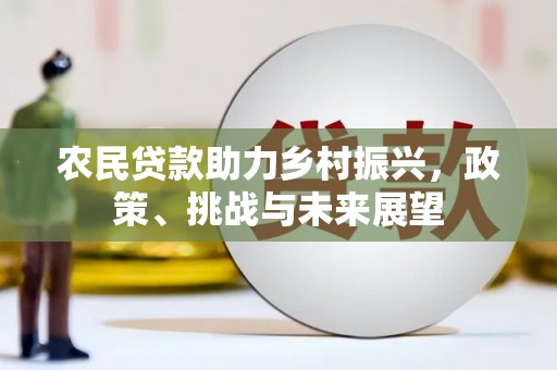 坪林农民贷款助力乡村振兴，政策、挑战与未来展望