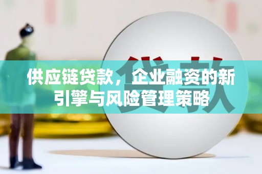 坪林供应链贷款，企业融资的新引擎与风险管理策略