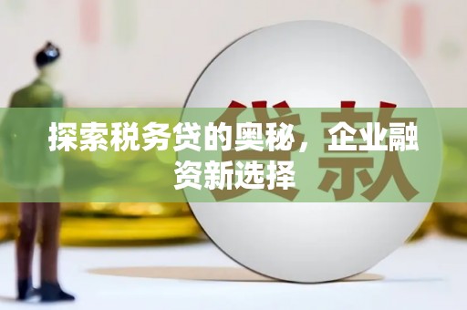 坪林探索税务贷的奥秘，企业融资新选择