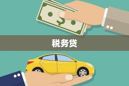 坪林税务贷