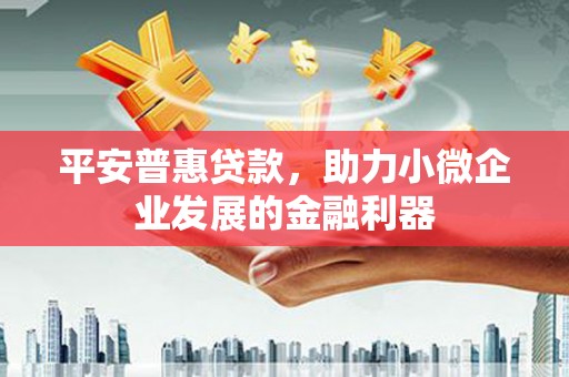 坪林平安普惠贷款，助力小微企业发展的金融利器