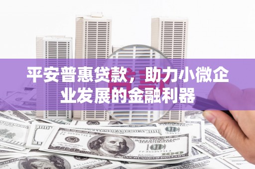 坪林平安普惠贷款，助力小微企业发展的金融利器