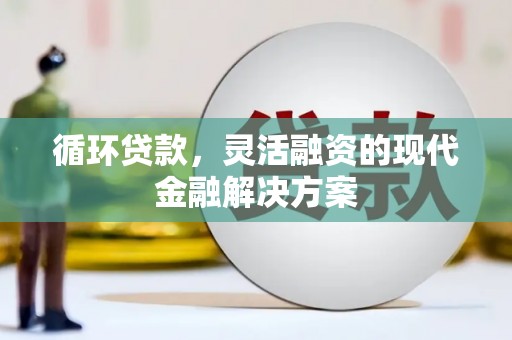 坪林循环贷款，灵活融资的现代金融解决方案