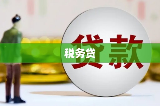 坪林税务贷