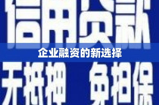 坪林企业融资的新选择