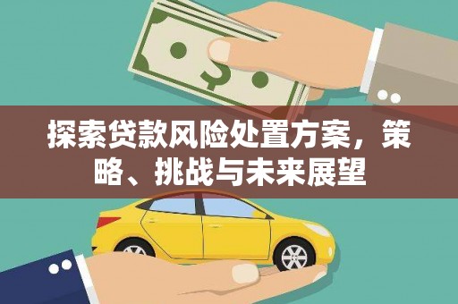 坪林探索贷款风险处置方案，策略、挑战与未来展望