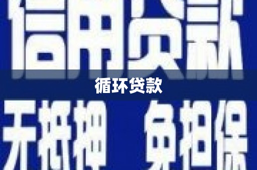 坪林循环贷款