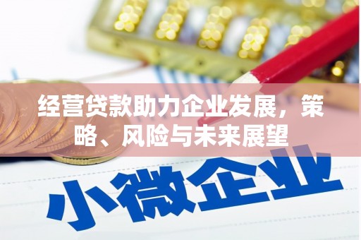 坪林经营贷款助力企业发展，策略、风险与未来展望