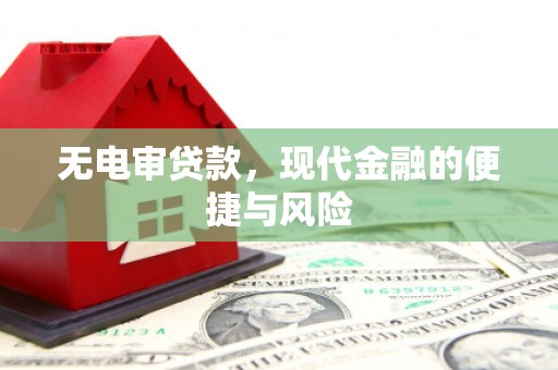 坪林无电审贷款，现代金融的便捷与风险
