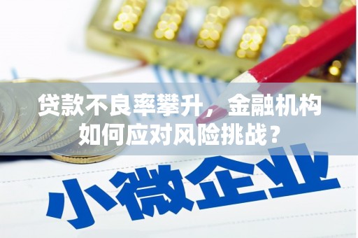 坪林贷款不良率攀升，金融机构如何应对风险挑战？
