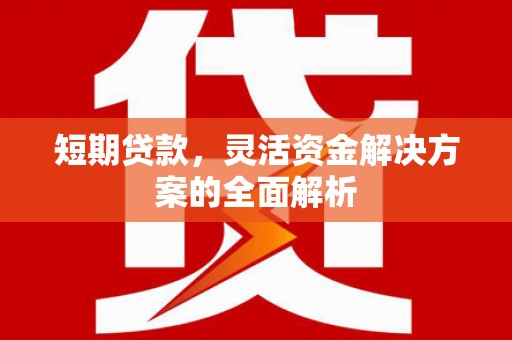 坪林短期贷款，灵活资金解决方案的全面解析
