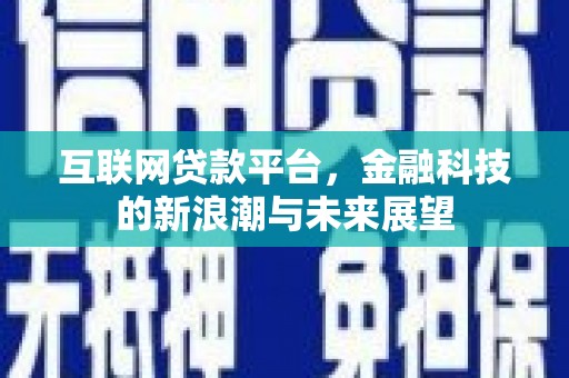 坪林互联网贷款平台，金融科技的新浪潮与未来展望