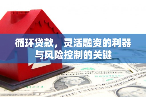坪林循环贷款，灵活融资的利器与风险控制的关键