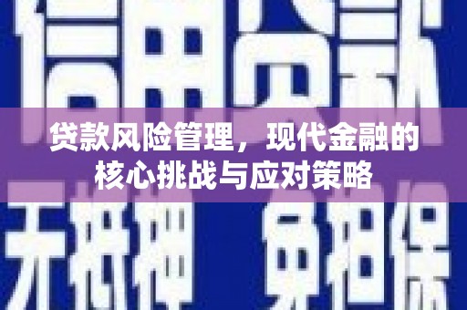 坪林贷款风险管理，现代金融的核心挑战与应对策略