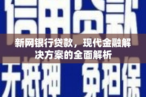 坪林新网银行贷款，现代金融解决方案的全面解析