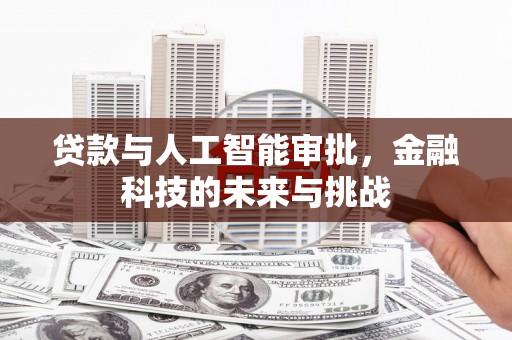 坪林贷款与人工智能审批，金融科技的未来与挑战