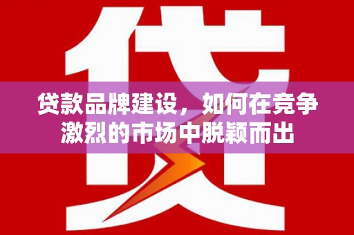 坪林贷款品牌建设，如何在竞争激烈的市场中脱颖而出