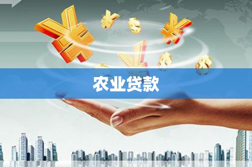 坪林农业贷款