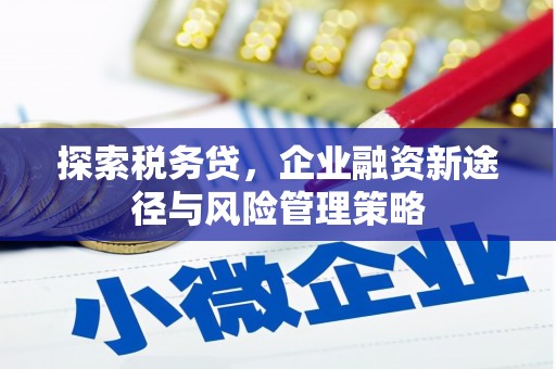 坪林探索税务贷，企业融资新途径与风险管理策略