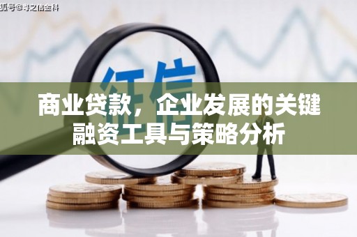 坪林商业贷款，企业发展的关键融资工具与策略分析