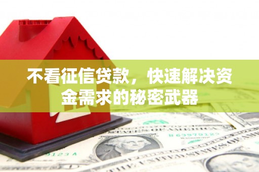 坪林不看征信贷款，快速解决资金需求的秘密武器