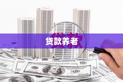 坪林贷款养老