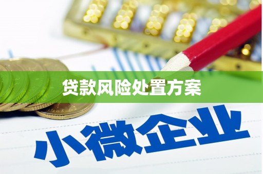 坪林贷款风险处置方案