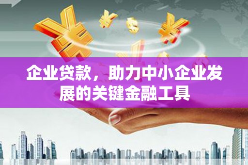 坪林企业贷款，助力中小企业发展的关键金融工具