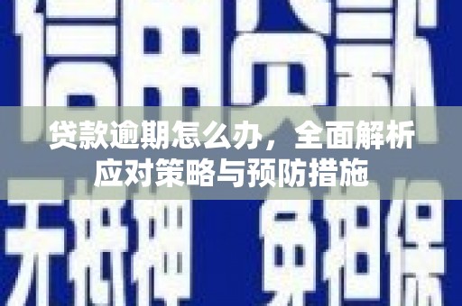 坪林贷款逾期怎么办，全面解析应对策略与预防措施