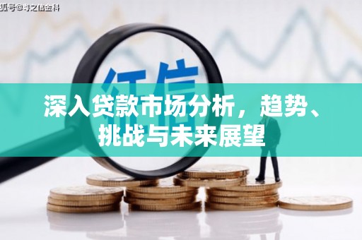 坪林深入贷款市场分析，趋势、挑战与未来展望