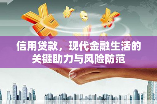 坪林信用贷款，现代金融生活的关键助力与风险防范