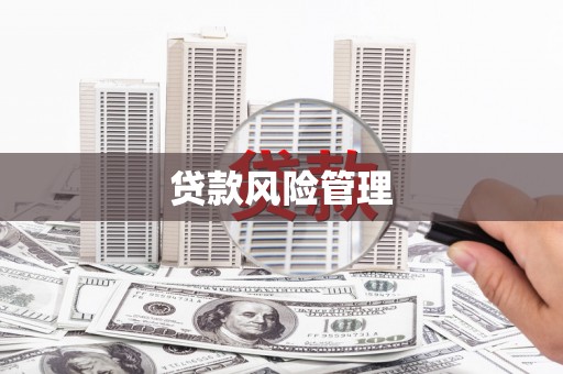 坪林贷款风险管理