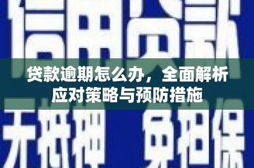 坪林贷款逾期怎么办，全面解析应对策略与预防措施