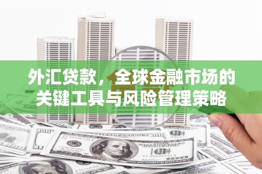 坪林外汇贷款，全球金融市场的关键工具与风险管理策略