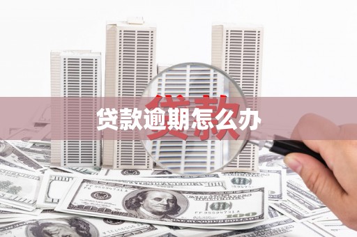 坪林贷款逾期怎么办