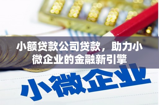 坪林小额贷款公司贷款，助力小微企业的金融新引擎