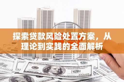 坪林探索贷款风险处置方案，从理论到实践的全面解析