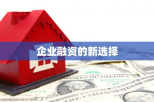 坪林企业融资的新选择