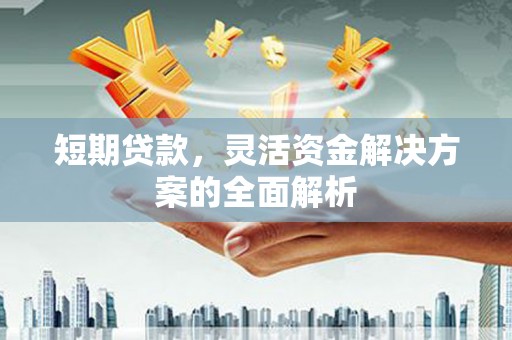 坪林短期贷款，灵活资金解决方案的全面解析