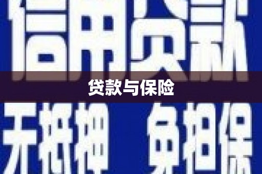 坪林贷款与保险