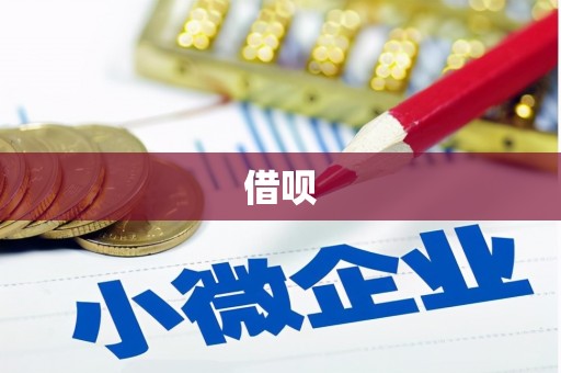 坪林借呗