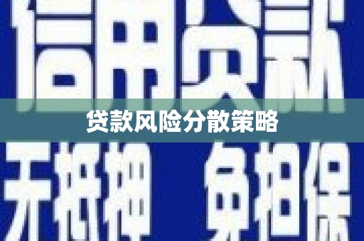 坪林贷款风险分散策略