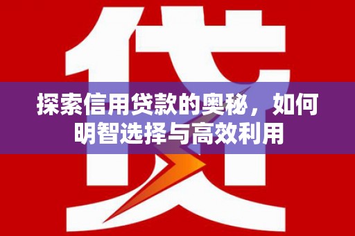 坪林探索信用贷款的奥秘，如何明智选择与高效利用